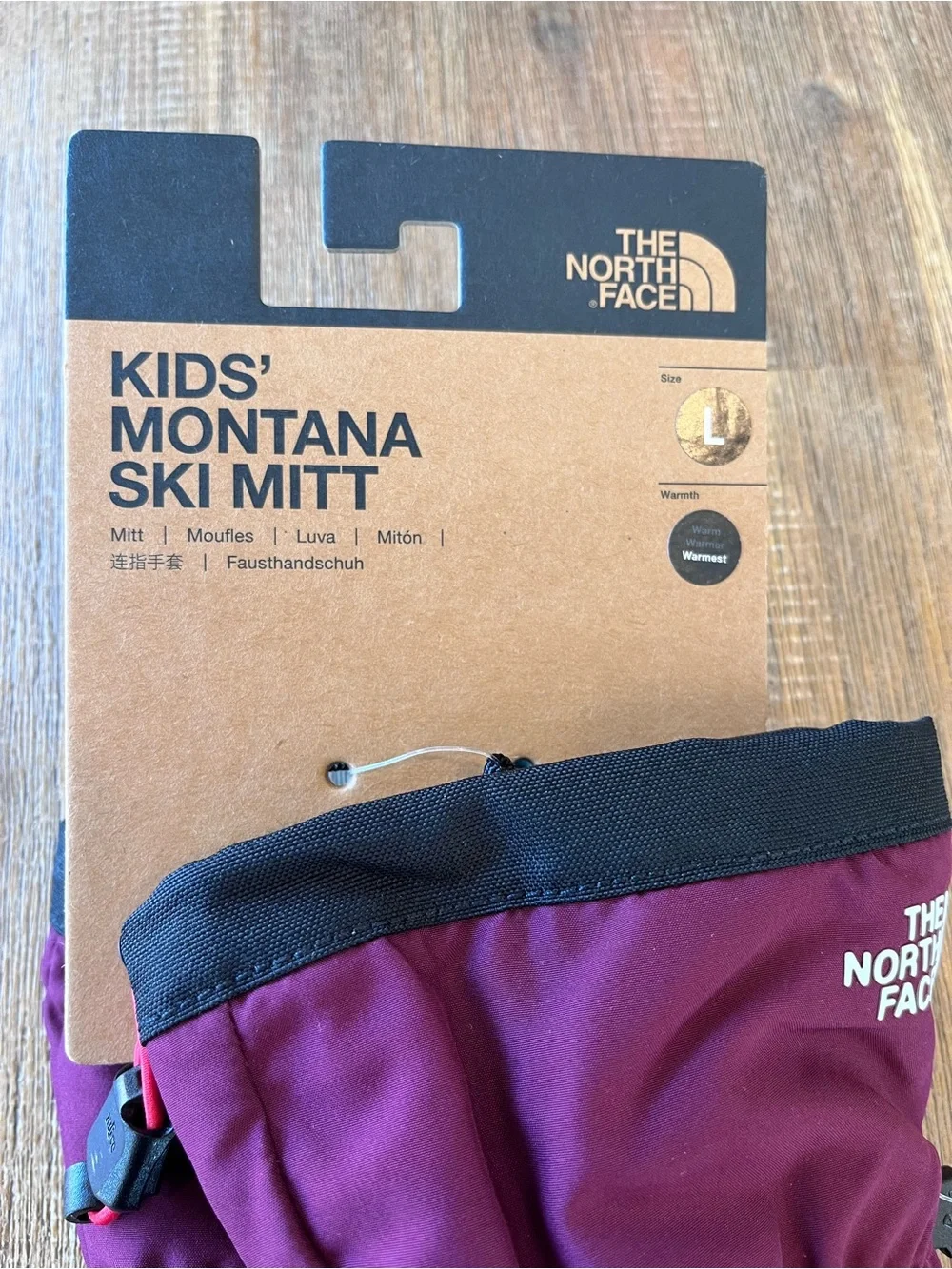 Montana Ski Mitt North Face